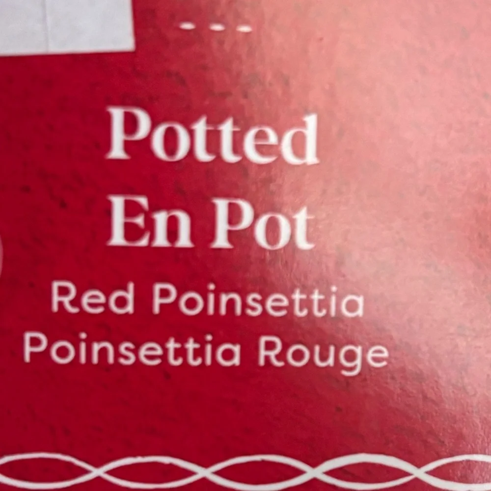 Faux poinsetta & berry potted plants NEW NWT 3 total Christmas decor 15 in tall